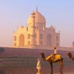 North India Tour