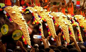 South India Wildlife Tour