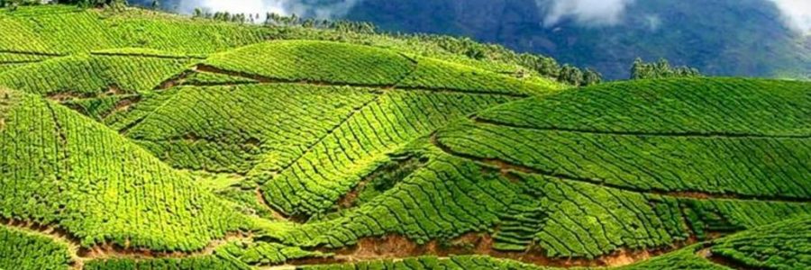 Kerala Adventure Tour