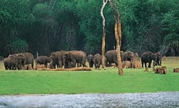 Kerala Wildlife Eco Tours